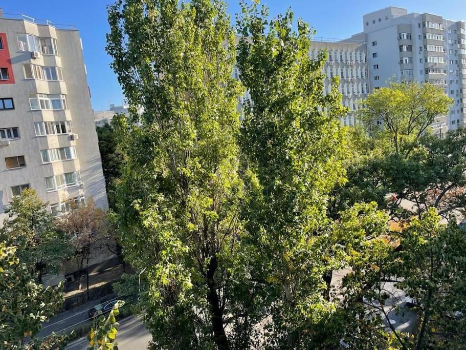 Mav Bucharest Apartman Kültér fotó