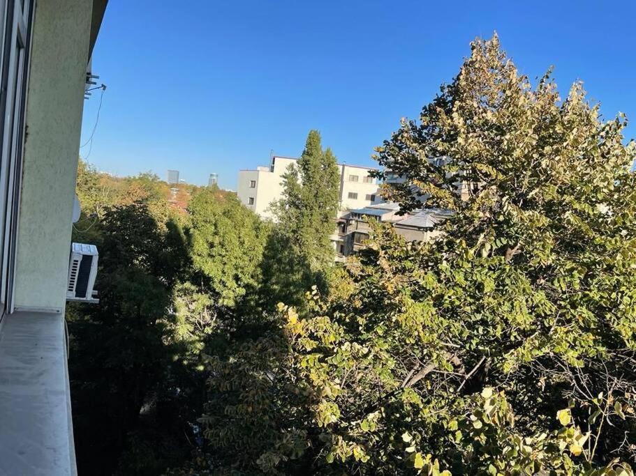 Mav Bucharest Apartman Kültér fotó